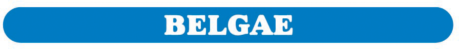 https://celticcoins.com/wp-content/uploads/2015/06/Belgae.png width=